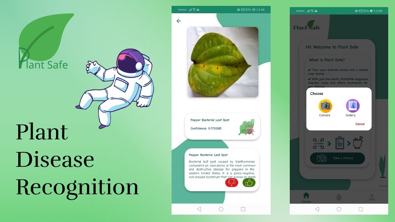 Leaf Disease Detection System